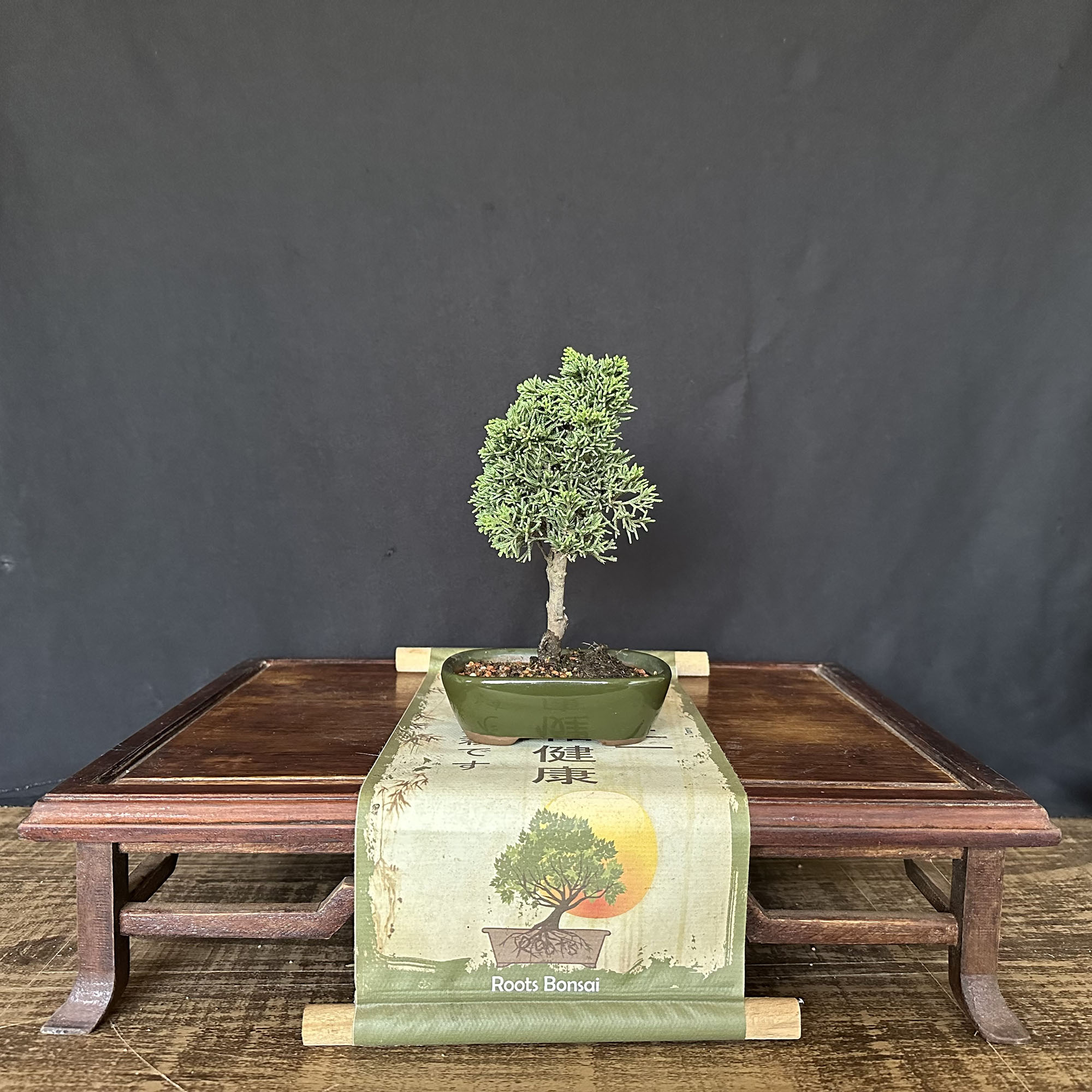 2022-12-17 16.58 (1)